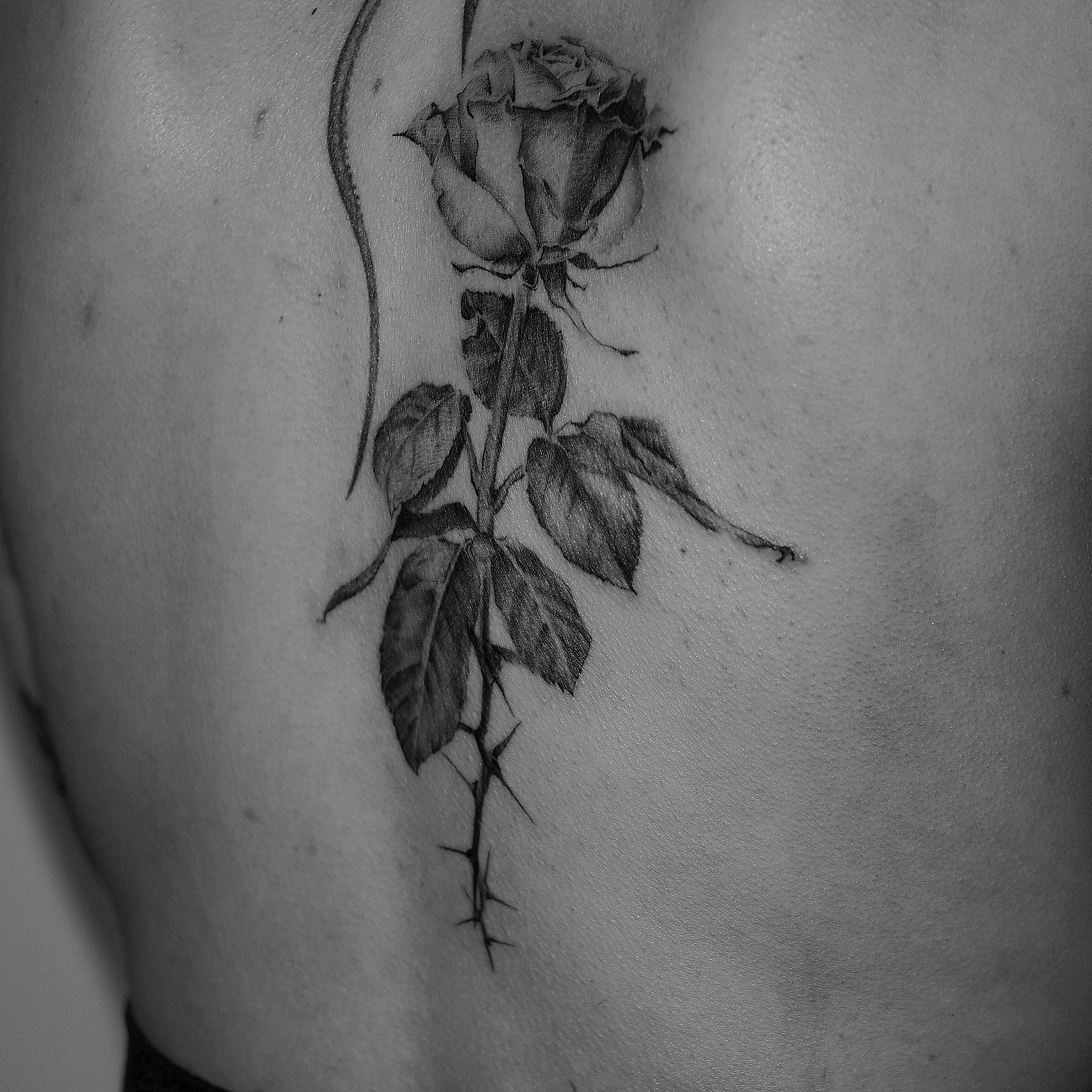 Tatuaż przedstawiający realistyczną różę