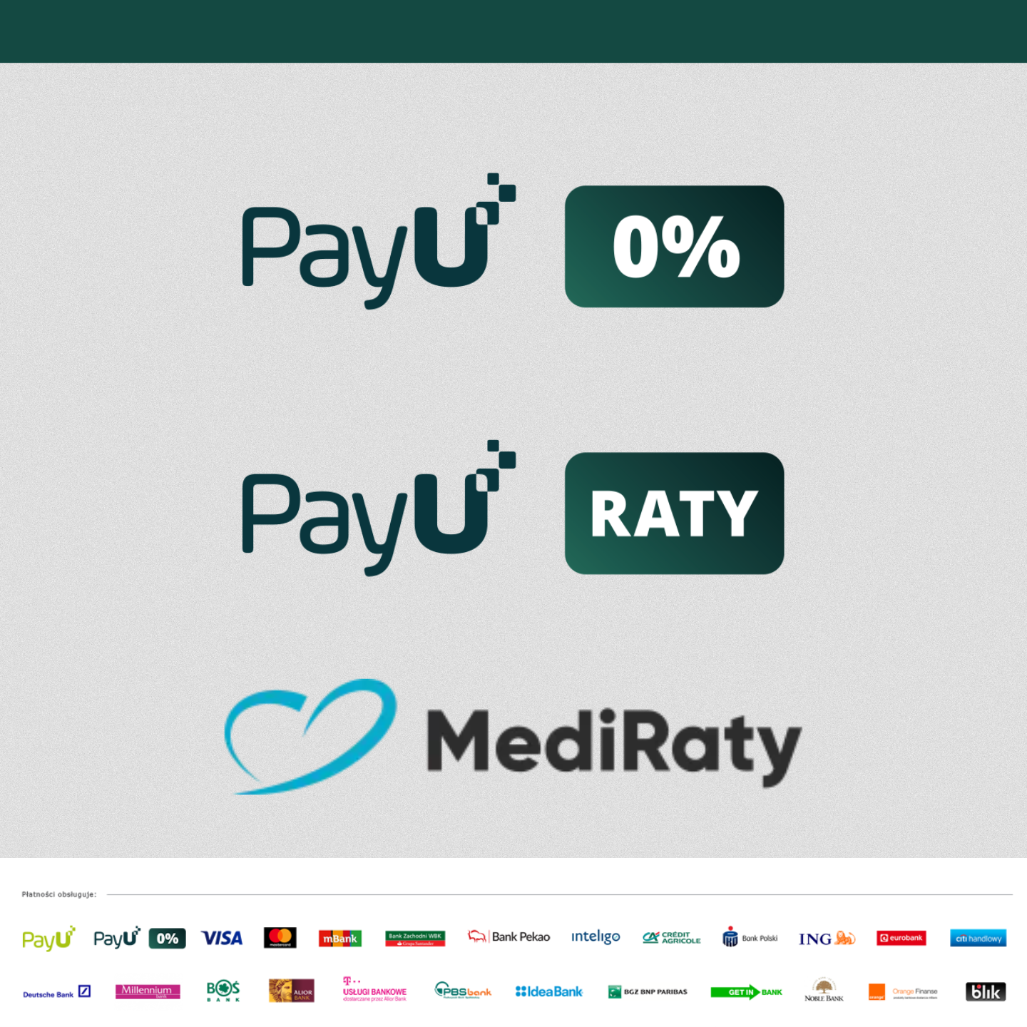 logo firm finansujących usługi